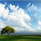 Cleansearch LLC - Cleaning Services in Boca Raton