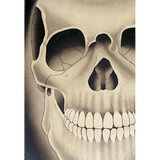 Cast Iron Tattoo - Tattoo in Orlando