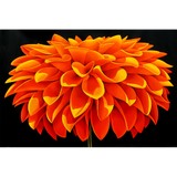 Michael Kuseske Painting Inc - Painters & Decorators in West Palm Beach