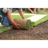 Conway Lawn And Landscape LLC - Landscaping in Orlando