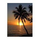 Palm Beach Canvas - Boat & Yacht Dealers in West Palm Beach