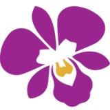 Thai Orchids And Leis LLC - Restaurants in Saint Petersburg
