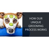 Bark Bark And Away LLC - Pet Groomers in Riverview