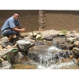 Pondtastic Water Garden - Landscaping in Orlando