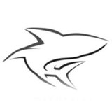 Cannonball Advertising Firm - Web Design & Development in Lake Worth