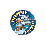Heavenly Puppies - Pet Stores in Boca Raton