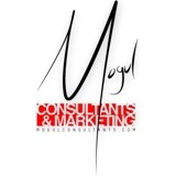 Mogul Consulting & Marketing - Web Design & Development in Boca Raton