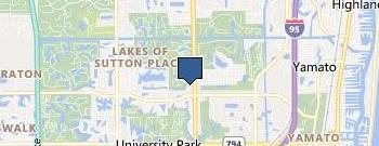 White Lion Inc location map