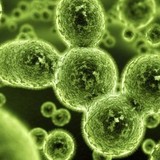 Pure Airmd - Cleaning Services in Boca Raton