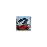 T & P Roofing Inc - Roofing in West Palm Beach