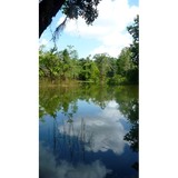 Friends of Mead Garden Inc - Garden Services/Maintenance in Winter Park