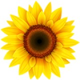 Peace Of Yoga - Yoga in Saint Petersburg