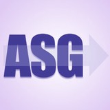 Alliance Strategies Group Inc - Business Consulting in Boca Raton