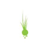 Sod Today Landscaping - Landscaping in Orlando