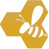 Beeline Marketing Solutions - Marketing in Winter Park