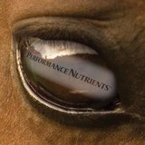 Peak Performance Nutrients - Veterinarians/Vets in Boca Raton