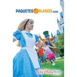 Orange Vacations, Inc - Travel Agents in Orlando