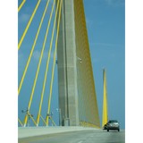 Madeira Marine Sales LLC - Boat & Yacht Dealers in Saint Petersburg