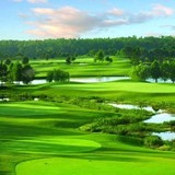 Shingle Creek Golf Club - Golf in Orlando