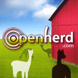 Alpaca Rising Star Ranch - Other in Holiday