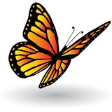 Your Home Companion - Personal Care Services in Saint Petersburg