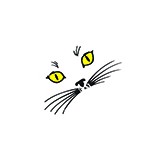 Cats Gymnastics-Wellington - Gyms in West Palm Beach