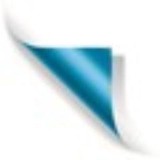 Berkowitz Richard A - Accountants in Boca Raton