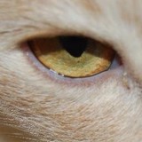 HumbleBeasts - Pet Stores in Delray Beach