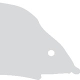 Hedgehog Consulting Inc - Business Consulting in West Palm Beach