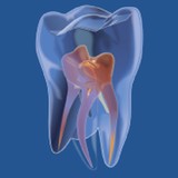 Stoch Russell B DDS - Dentists in North Palm Beach