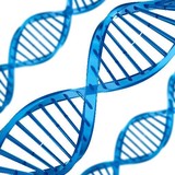 Gene Link Inc - Medical Equipment  & Appliances in Orlando