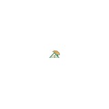 Campany Roofing - Roofing in West Palm Beach