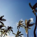 Ag Airconditioing & Heating , Inc. - Heating & Air Conditioning / HVAC in West Palm Beach