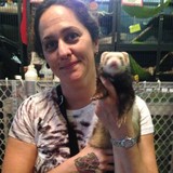 Beast To Beauty Inc - Pet Groomers in Boca Raton