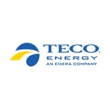 Tampa Electric Company - Other in Dade City