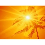 Home Too Vacation Rentals - Vacation Rentals in Kissimmee