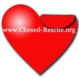 Chesed Foundation Inc - Social Clubs in Boca Raton