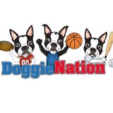 Doggienation.com - Pet Stores in Orlando