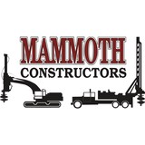 Mammoth Constructors LLC - Roofing in Orlando