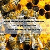 Brian Moore Bee Removal - Pest Control in Boca Raton