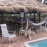 Preventive Maintenance Support Services - Roofing in Lake Worth