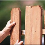 Big Ants Fencing LLC - Fences & Gates in Orlando