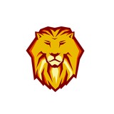 Iron Lion Fitness Studio LLC - Gyms in West Palm Beach