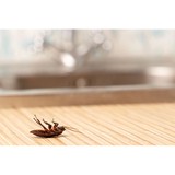 Organix Pest Control Services - Pest Control in Lake Worth