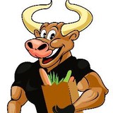 Bull Bagger grocery delivery service - Other in Lutz