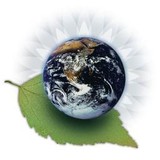 Ecology Works - Chemicals & Pharmaceuticals in West Palm Beach