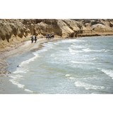 High Pointe Equestrian Tours - Travel Agents in Boca Raton