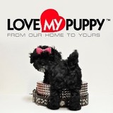 Love My Puppy - Pet Groomers in Boca Raton