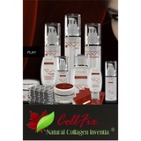 Collfix Inc - Medical Centers in Boca Raton
