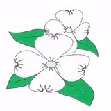 Hanamizuki Japanese Restaurant - Japanese in Orlando